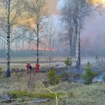 70 Mile Wild Fire - May 2009 (7)